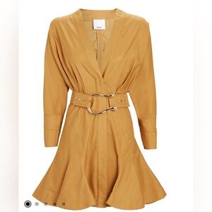 Acler Bastor Poplin Mini Dress